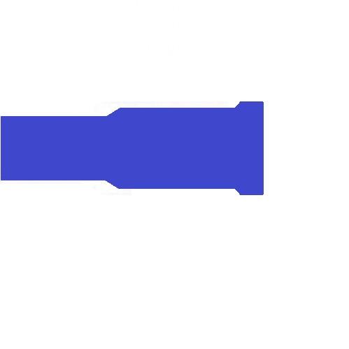 Blue Bullet Terminals Female Image 10