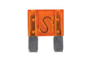 40 Amp Maxi Blade Fuse Image 10